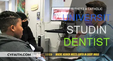 Catholic University Dentistry Programs: Are They Worth It?