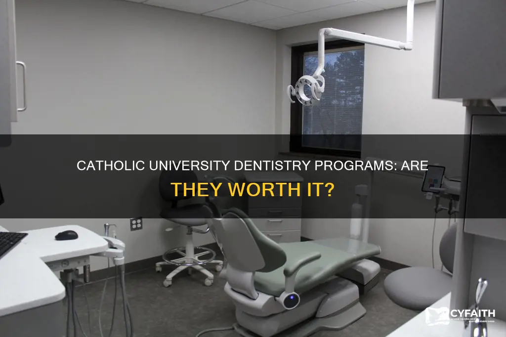 is there a catholic university studing dentistry