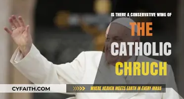 Exploring the Catholic Church's Conservative Wing: Beliefs and Influence