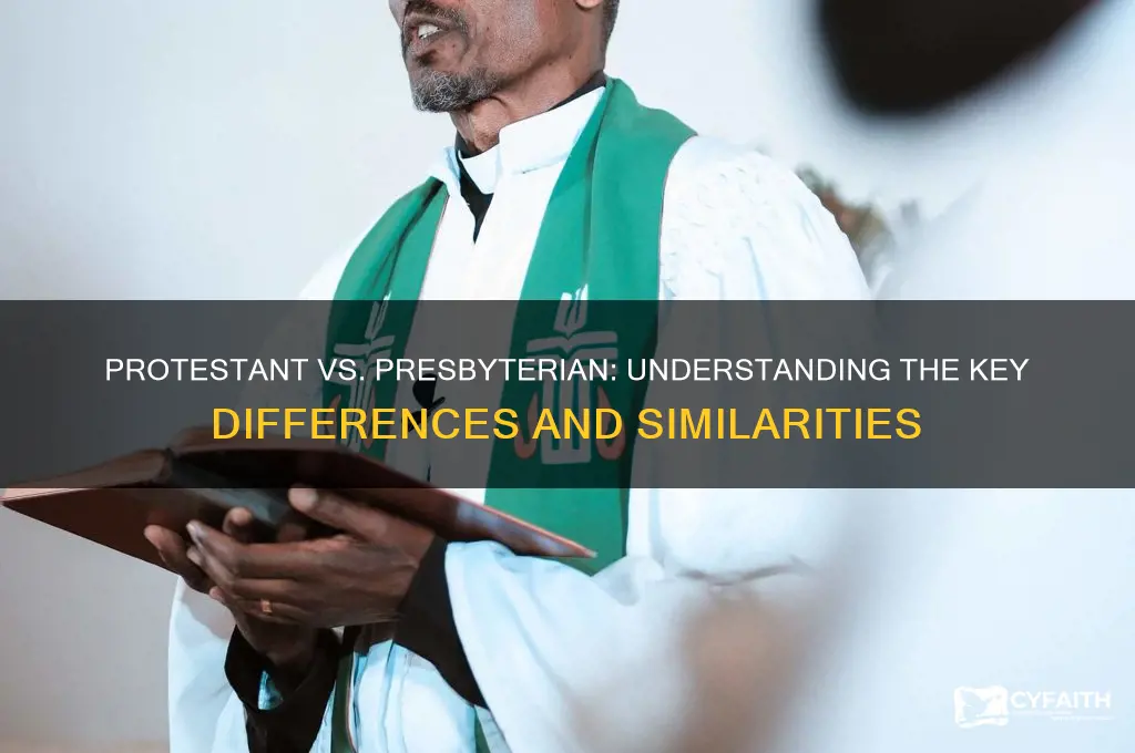 is there a difference between protestant and presbyterian