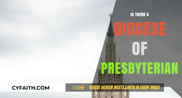 Exploring the Structure: Is There a Diocese in Presbyterian Churches?