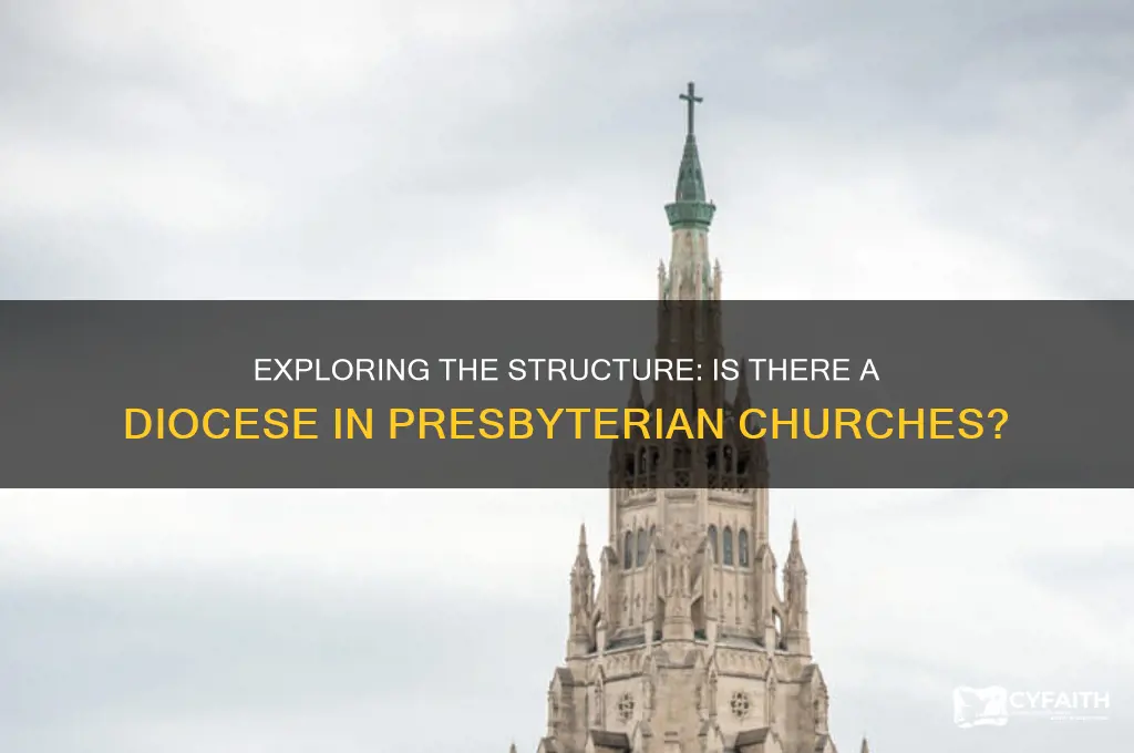 is there a diocese of presbyterian