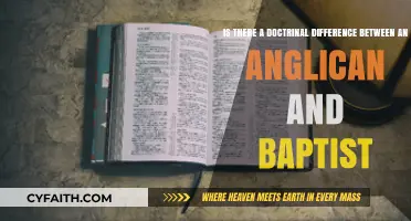 Anglican vs. Baptist: Exploring Key Doctrinal Differences and Beliefs