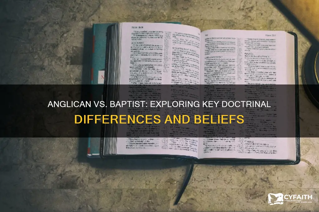 is there a doctrinal difference between an anglican and baptist