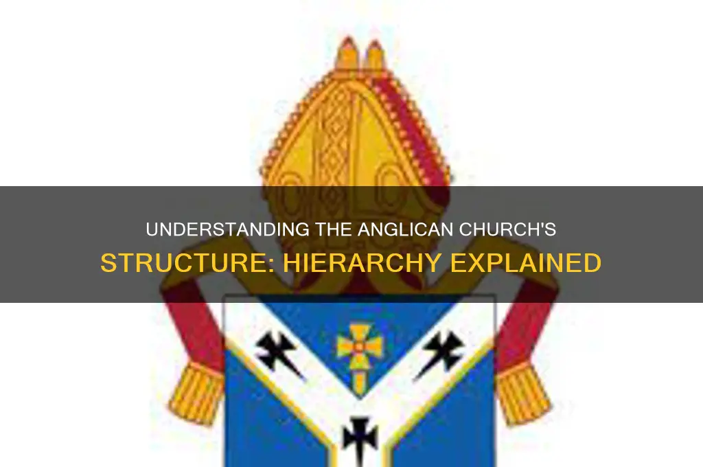 is there a heirarchy in the anglican church