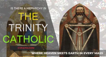 The Trinity: Understanding the Catholic Hierarchy