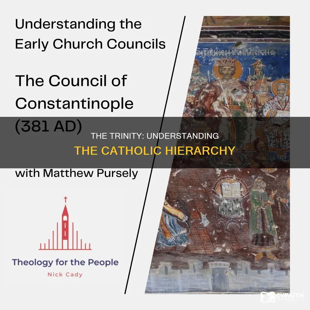 is there a hierarchy in the trinity catholic