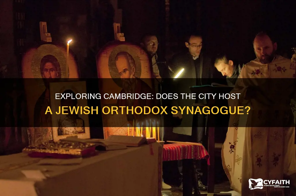 is there a jewish orthodox syanagouge in cambridge england