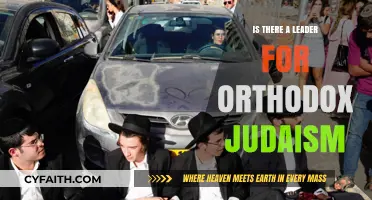 Who Leads Orthodox Judaism? Exploring Authority in a Diverse Tradition