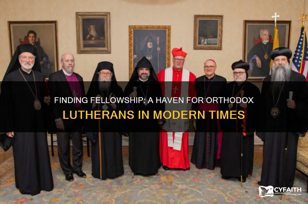is there a place for orthodox lutherans to go