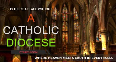 Where is the Catholic Diocese Absent?