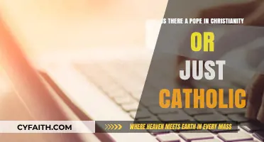 Pope's Role: Exclusive to Catholicism or All of Christianity?