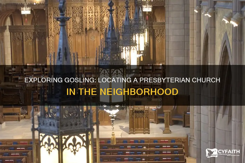 is there a presbyterian church on gosling