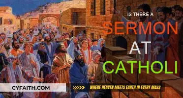 Catholic Sermons: What to Expect