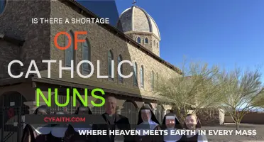 The Vanishing Nuns: A Looming Crisis for the Catholic Church?
