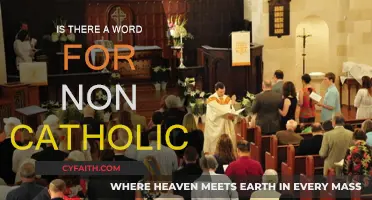 What's the Word for Non-Catholics?