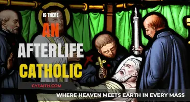 Exploring the Catholic Perspective on the Afterlife: Beliefs and Teachings