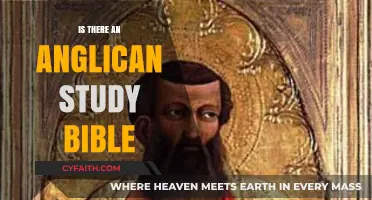 Exploring the Anglican Study Bible: A Comprehensive Guide for Devout Readers