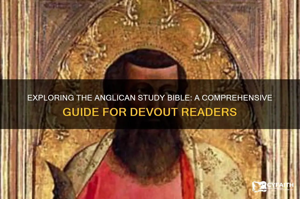 is there an anglican study bible