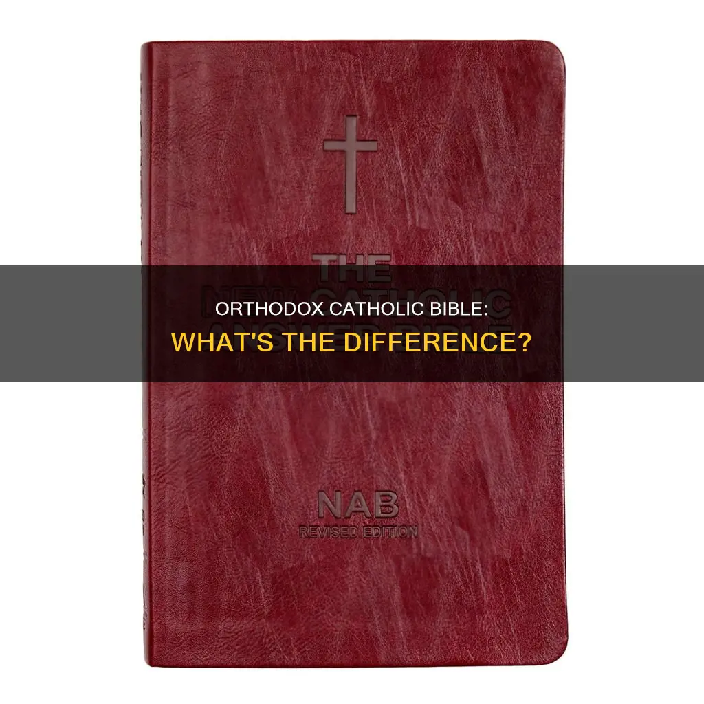 is there an orthodox catholic bibke