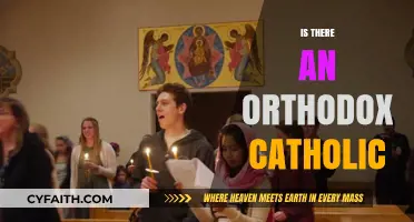 Exploring the Concept of Orthodox Catholicism: A Theological Perspective