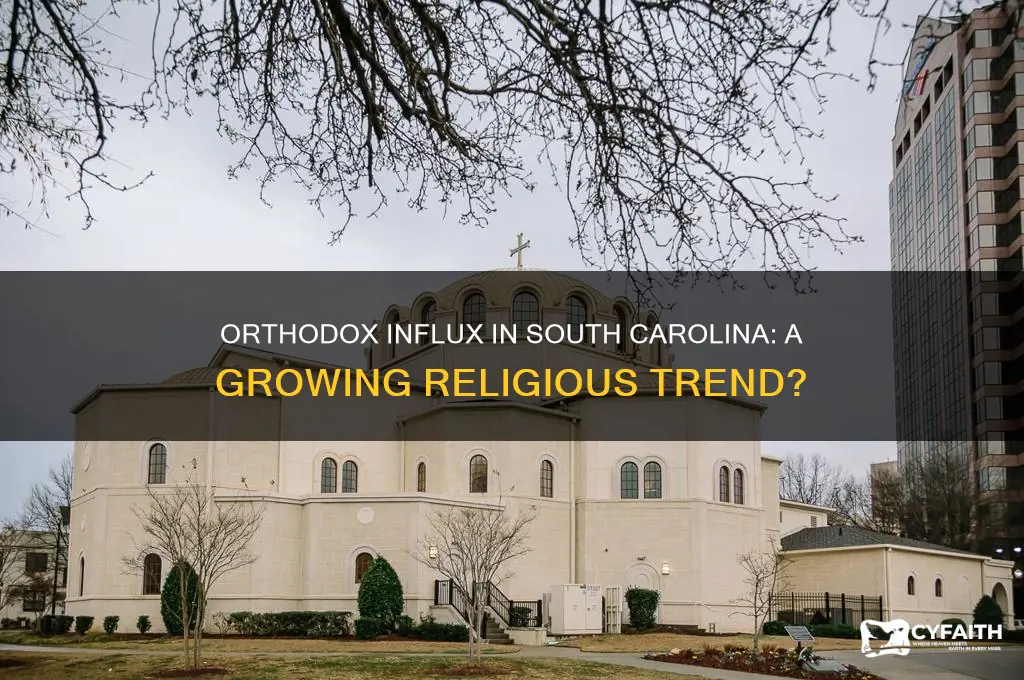 is there an orthodox influx to south carolina