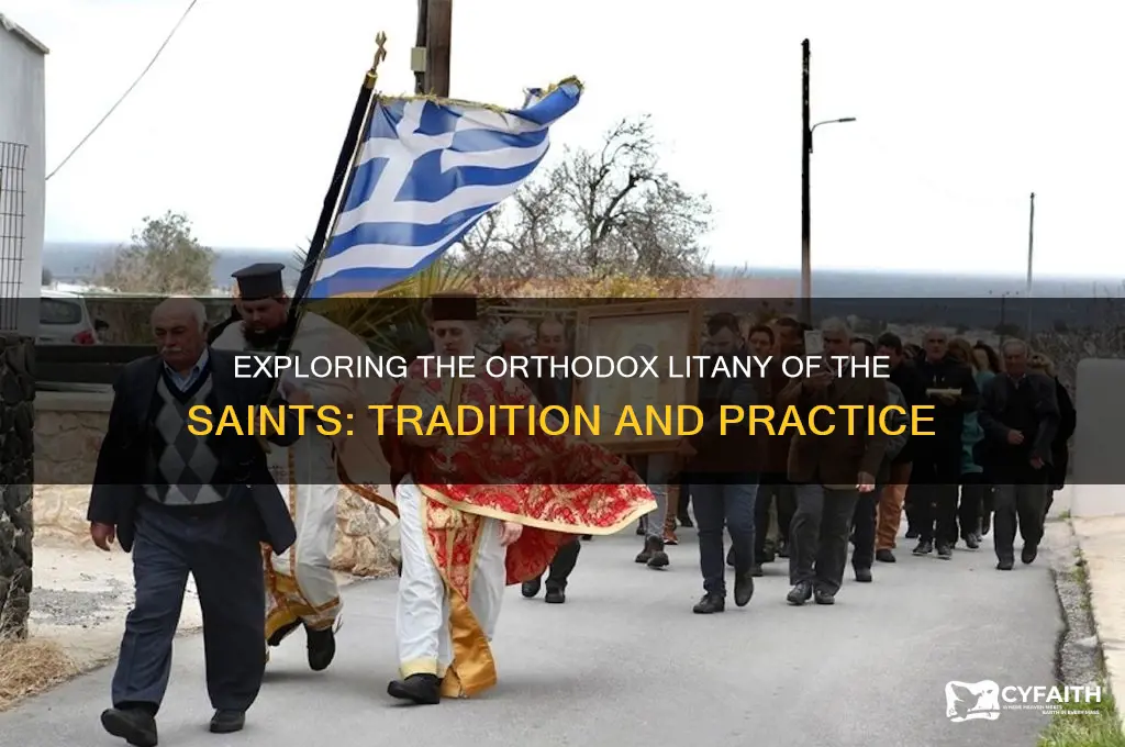 is there an orthodox litany of the saints