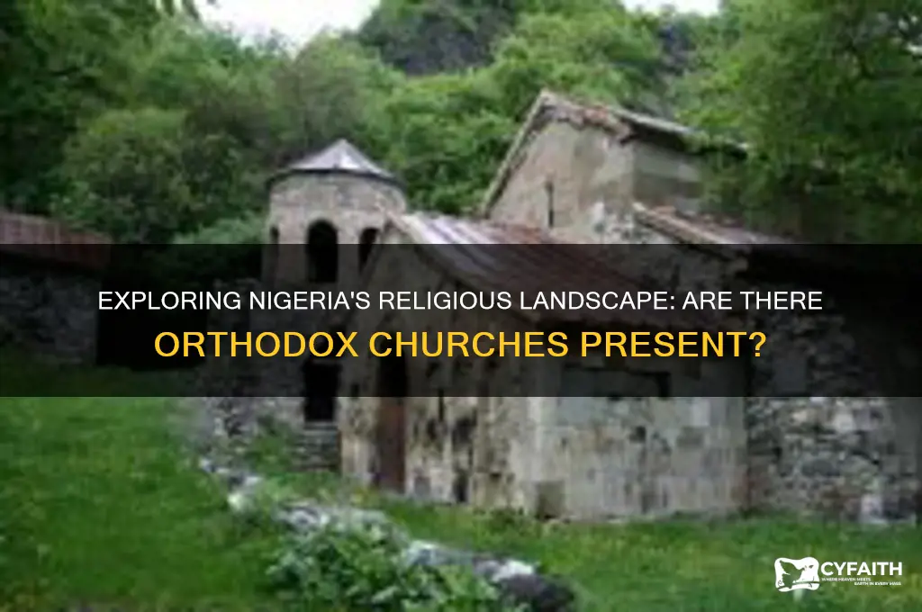 is there any orthodox church in nigeria