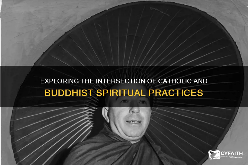 is there catholic buddhist
