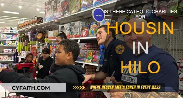 Hilo Housing: Catholic Charities and Community Support