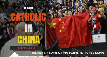 Exploring the Presence of Catholicism in Modern China