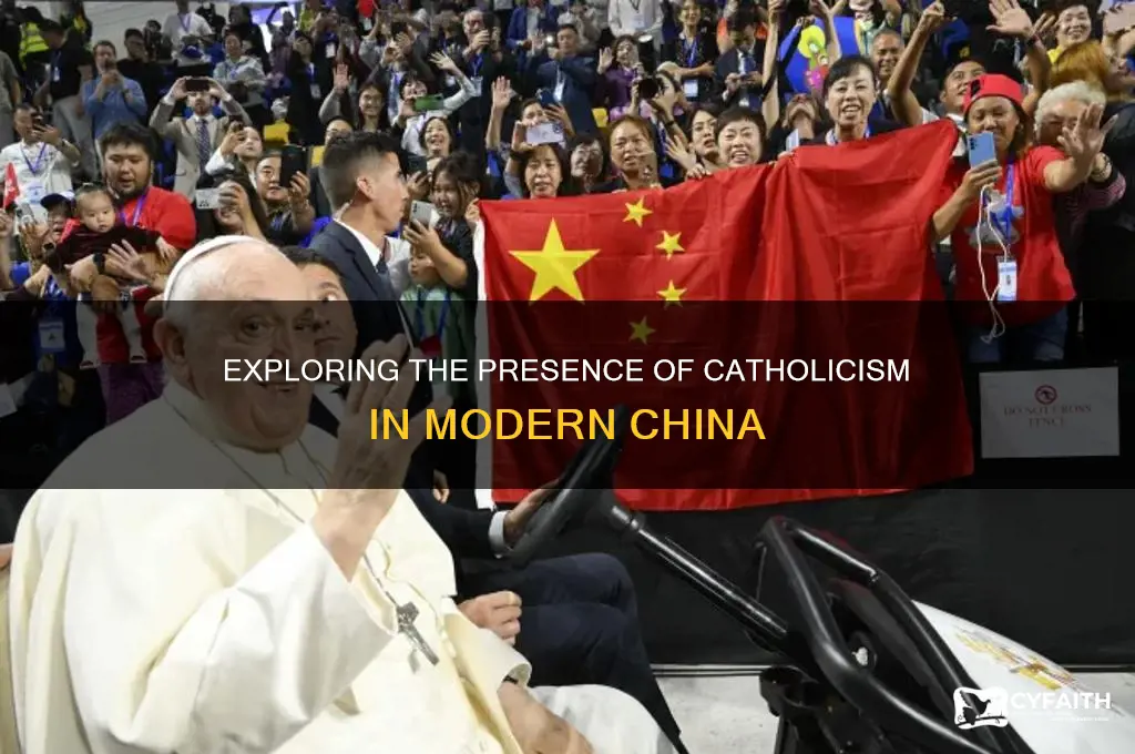 is there catholic in china