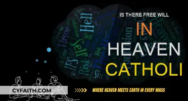 Free Will in Heaven: Catholic Perspective