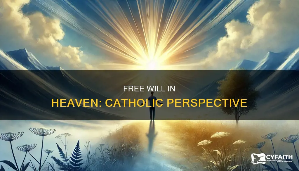 is there free will in heaven catholic