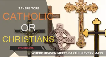 Who's the Majority? Catholics vs Christians