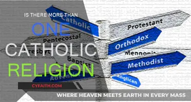 Exploring the Many Branches of Catholicism