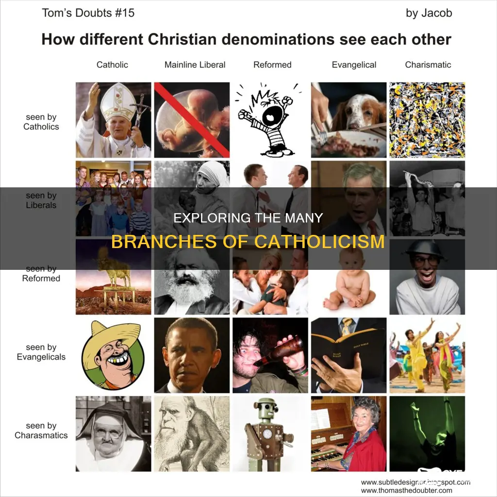 is there more than one catholic religion