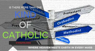 Different Types of Catholics and Their Beliefs