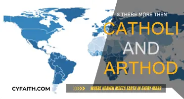 Exploring Religious Diversity: Beyond Catholic and Orthodox