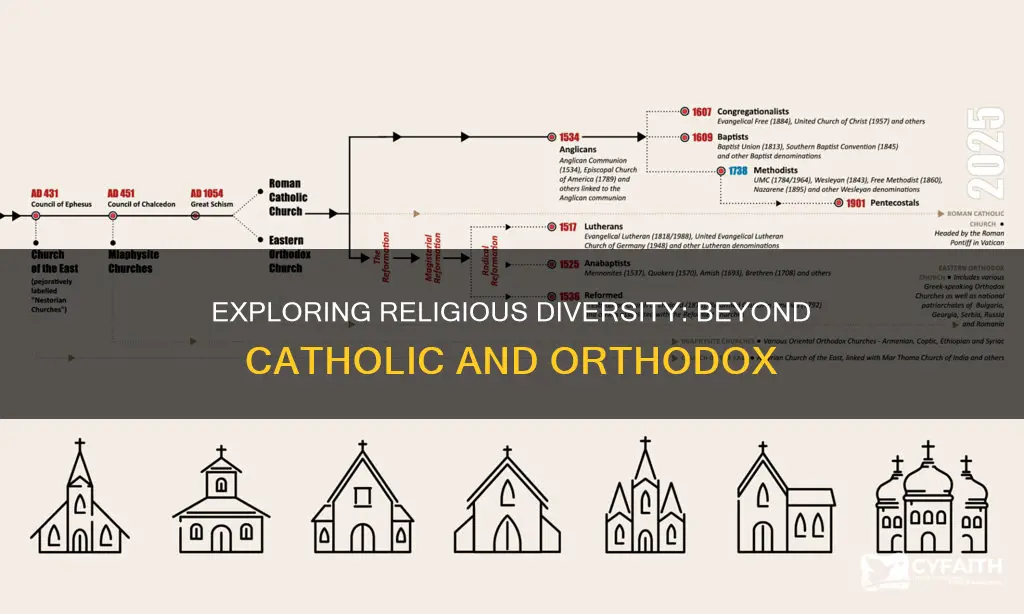 is there more then catholic and arthodox