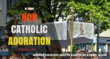 Exploring Non-Catholic Adoration Practices: Traditions Beyond the Vatican