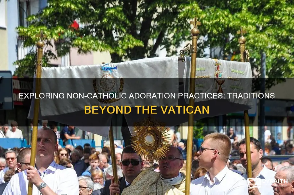 is there non catholic adoration