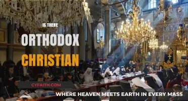 Exploring the Presence and Practices of Orthodox Christianity Today