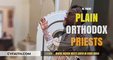 Exploring the Role of Plain Orthodox Priests in Modern Religious Practices