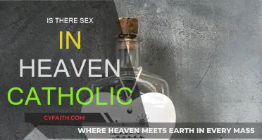 Sex in Heaven: Catholic Perspective