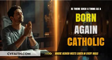 Born Again Catholic: Exploring Renewal in Catholic Faith and Identity