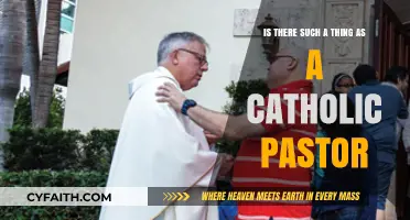 Catholic Pastor: Understanding the Role and Title in the Church