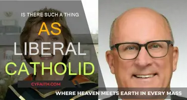 Exploring the Identity of Liberal Catholics