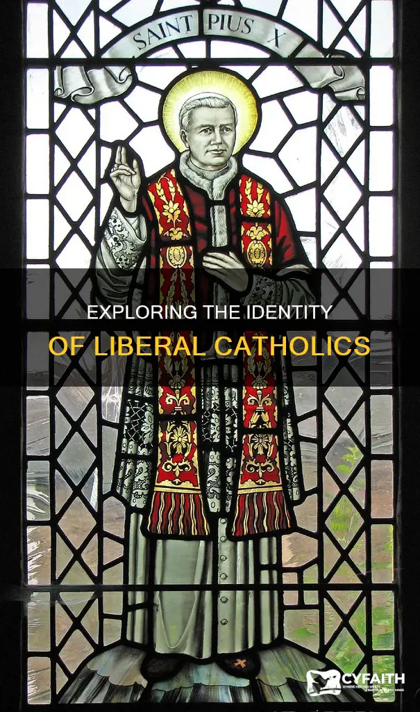 is there such a thing as liberal catholid