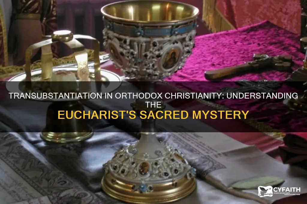 is there transubstantiation in orthodox christianity